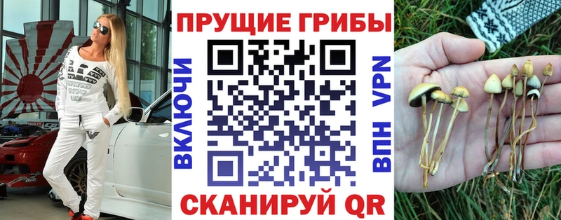Псилоцибиновые грибы Magic Shrooms  Купить где  Таштагол 
